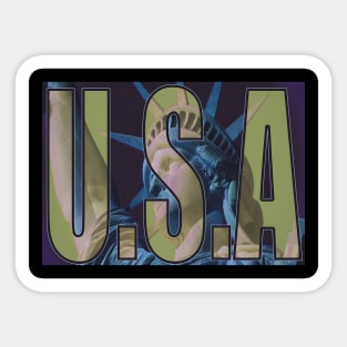 USA liberty Sticker